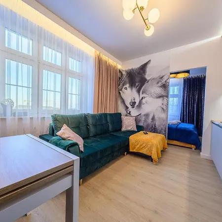 Perfekt * 卡尔帕奇